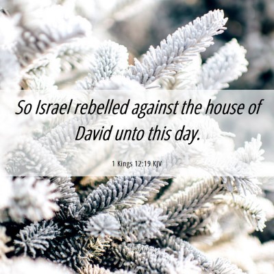 Picture 06 - 1 Kings 12:19 KJV - So Israel rebelled against the house of David - Bible Verse Picture