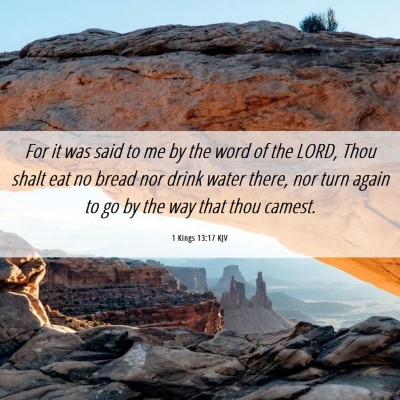Picture 06 - 1 Kings 13:17 KJV - For it was said to me by the word of the LORD, - Bible Verse Picture