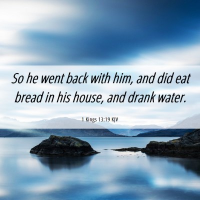 Picture 06 - 1 Kings 13:19 KJV - So he went back with him, and did eat bread in - Bible Verse Picture