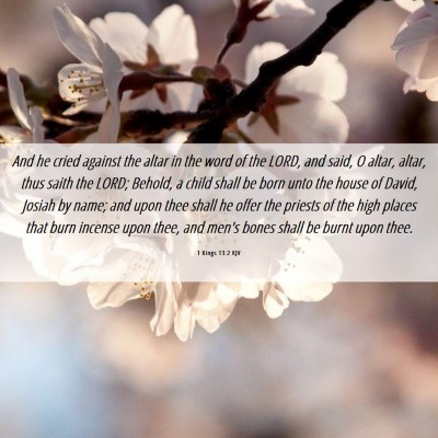 Picture 06 - 1 Kings 13:2 KJV - And he cried against the altar in the word of the - Bible Verse Picture