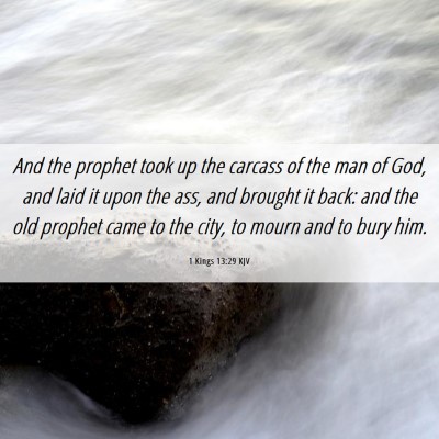Picture 06 - 1 Kings 13:29 KJV - And the prophet took up the carcass of the man of - Bible Verse Picture