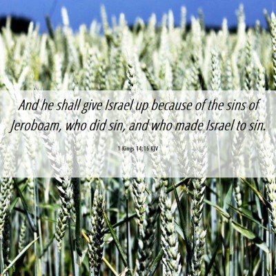 Picture 06 - 1 Kings 14:16 KJV - And he shall give Israel up because of the sins - Bible Verse Picture