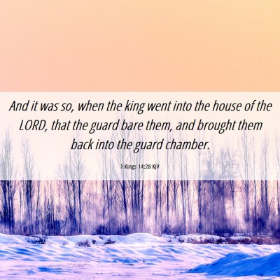 Picture 06 - 1 Kings 14:28 KJV - And it was so, when the king went into the house - Bible Verse Picture