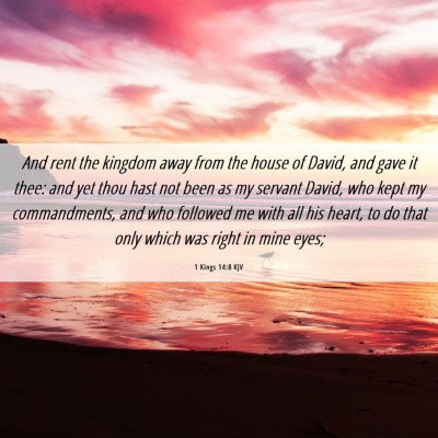 Picture 06 - 1 Kings 14:8 KJV - And rent the kingdom away from the house of - Bible Verse Picture