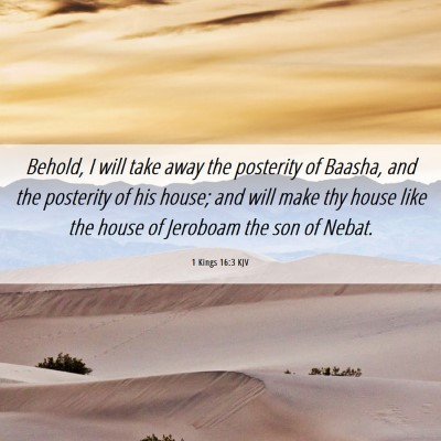 Picture 06 - 1 Kings 16:3 KJV - Behold, I will take away the posterity of Baasha, - Bible Verse Picture