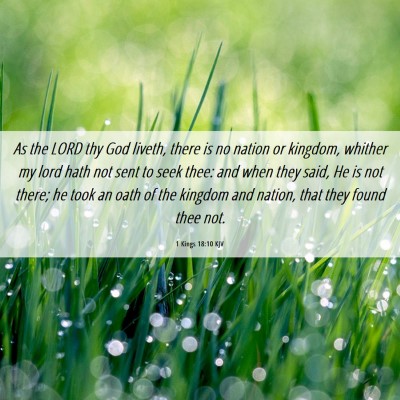 Picture 06 - 1 Kings 18:10 KJV - As the LORD thy God liveth, there is no nation or - Bible Verse Picture