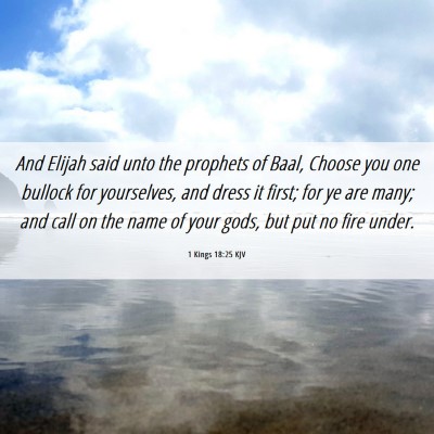 Picture 06 - 1 Kings 18:25 KJV - And Elijah said unto the prophets of Baal, Choose - Bible Verse Picture