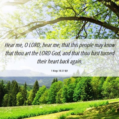 Picture 06 - 1 Kings 18:37 KJV - Hear me, O LORD, hear me, that this people may - Bible Verse Picture