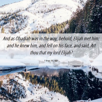 Picture 06 - 1 Kings 18:7 KJV - And as Obadiah was in the way, behold, Elijah met - Bible Verse Picture