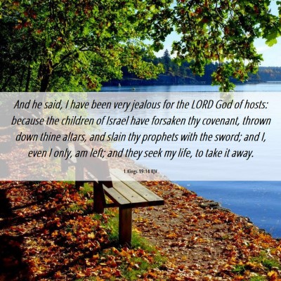 Picture 06 - 1 Kings 19:14 KJV - And he said, I have been very jealous for the - Bible Verse Picture