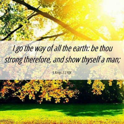 Picture 06 - 1 Kings 2:2 KJV - I go the way of all the earth: be thou strong - Bible Verse Picture