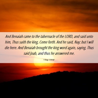 Picture 06 - 1 Kings 2:30 KJV - And Benaiah came to the tabernacle of the LORD, - Bible Verse Picture