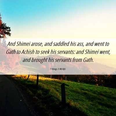 Picture 06 - 1 Kings 2:40 KJV - And Shimei arose, and saddled his ass, and went - Bible Verse Picture