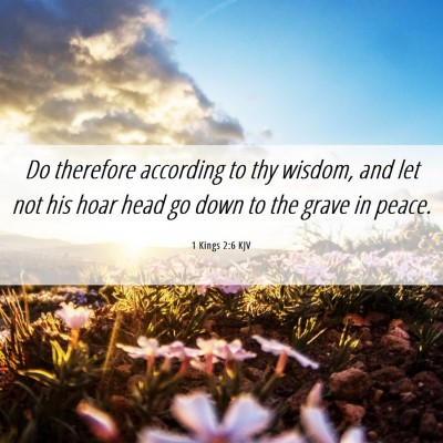 Picture 06 - 1 Kings 2:6 KJV - Do therefore according to thy wisdom, and let not - Bible Verse Picture