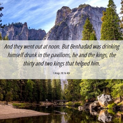 Picture 06 - 1 Kings 20:16 KJV - And they went out at noon. But Benhadad was - Bible Verse Picture