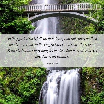 Picture 06 - 1 Kings 20:32 KJV - So they girded sackcloth on their loins, and put - Bible Verse Picture