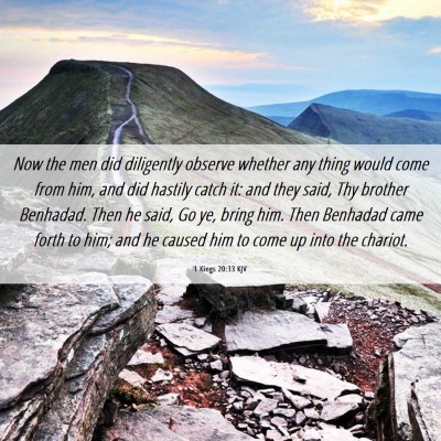 Picture 06 - 1 Kings 20:33 KJV - Now the men did diligently observe whether any - Bible Verse Picture