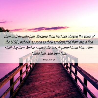 Picture 06 - 1 Kings 20:36 KJV - Then said he unto him, Because thou hast not - Bible Verse Picture