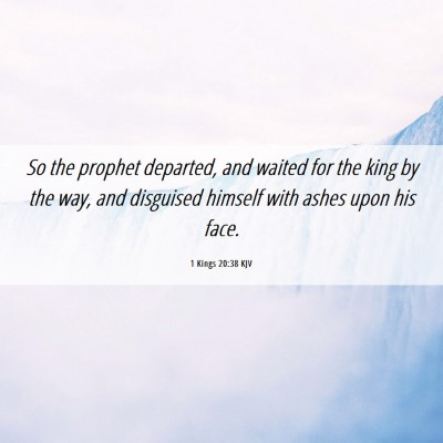 Picture 06 - 1 Kings 20:38 KJV - So the prophet departed, and waited for the king - Bible Verse Picture
