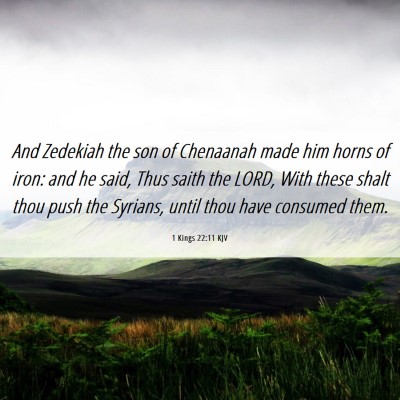 Picture 06 - 1 Kings 22:11 KJV - And Zedekiah the son of Chenaanah made him horns - Bible Verse Picture
