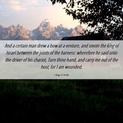 Picture 06 - 1 Kings 22:34 KJV - And a certain man drew a bow at a venture, and - Bible Verse Picture