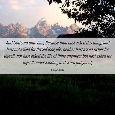 Picture 06 - 1 Kings 3:11 KJV - And God said unto him, Because thou hast asked - Bible Verse Picture