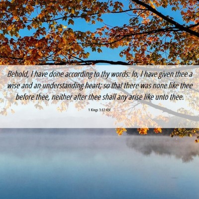 Picture 06 - 1 Kings 3:12 KJV - Behold, I have done according to thy words: lo, I - Bible Verse Picture