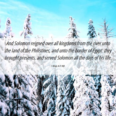 Picture 06 - 1 Kings 4:21 KJV - And Solomon reigned over all kingdoms from the - Bible Verse Picture