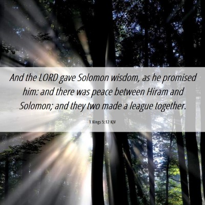 Picture 06 - 1 Kings 5:12 KJV - And the LORD gave Solomon wisdom, as he promised - Bible Verse Picture