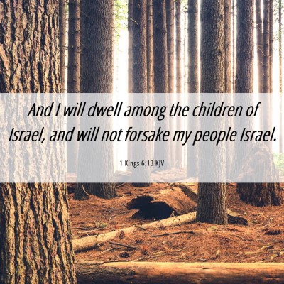Picture 06 - 1 Kings 6:13 KJV - And I will dwell among the children of Israel, - Bible Verse Picture