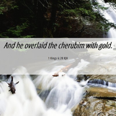 Picture 06 - 1 Kings 6:28 KJV - And he overlaid the cherubim with - Bible Verse Picture