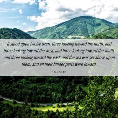 Picture 06 - 1 Kings 7:25 KJV - It stood upon twelve oxen, three looking toward - Bible Verse Picture