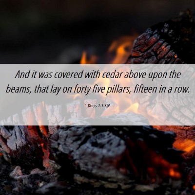 Picture 06 - 1 Kings 7:3 KJV - And it was covered with cedar above upon the - Bible Verse Picture