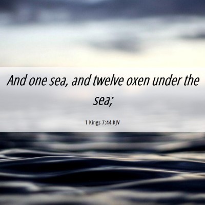 Picture 06 - 1 Kings 7:44 KJV - And one sea, and twelve oxen under the - Bible Verse Picture