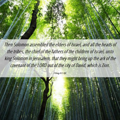 Picture 06 - 1 Kings 8:1 KJV - Then Solomon assembled the elders of Israel, and - Bible Verse Picture