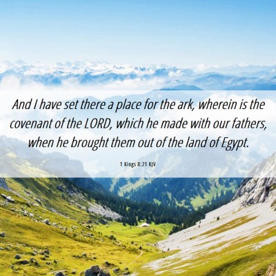 Picture 06 - 1 Kings 8:21 KJV - And I have set there a place for the ark, wherein - Bible Verse Picture