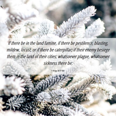 Picture 06 - 1 Kings 8:37 KJV - If there be in the land famine, if there be - Bible Verse Picture