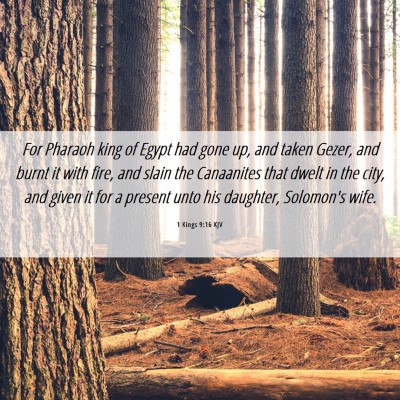 Picture 06 - 1 Kings 9:16 KJV - For Pharaoh king of Egypt had gone up, and taken - Bible Verse Picture