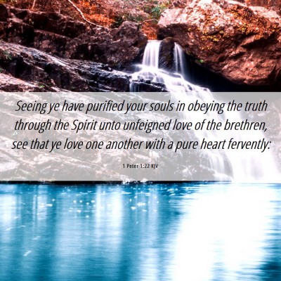 Picture 06 - 1 Peter 1:22 KJV - Seeing ye have purified your souls in obeying the - Bible Verse Picture