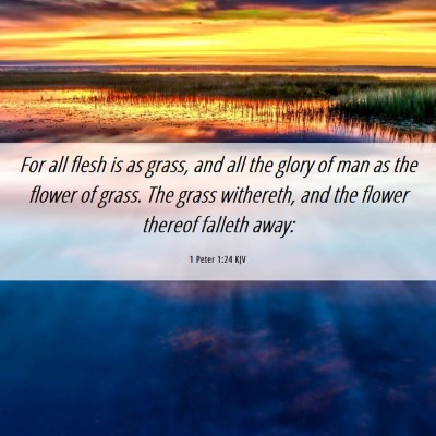 Picture 06 - 1 Peter 1:24 KJV - For all flesh is as grass, and all the glory of - Bible Verse Picture