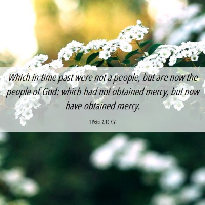 Picture 06 - 1 Peter 2:10 KJV - Which in time past were not a people, but are now - Bible Verse Picture