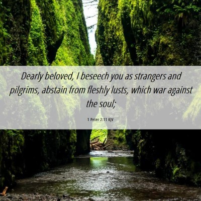 Picture 06 - 1 Peter 2:11 KJV - Dearly beloved, I beseech you as strangers and - Bible Verse Picture