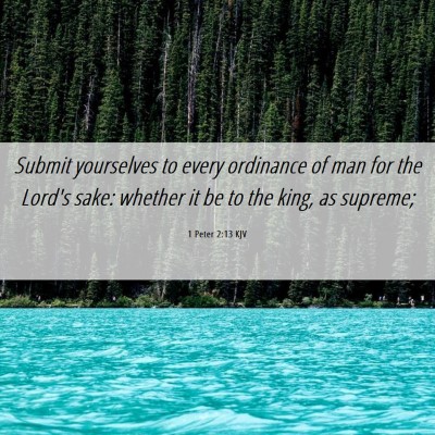 Picture 06 - 1 Peter 2:13 KJV - Submit yourselves to every ordinance of man for - Bible Verse Picture