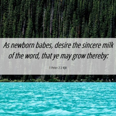 Picture 06 - 1 Peter 2:2 KJV - As newborn babes, desire the sincere milk of the - Bible Verse Picture
