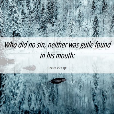 Picture 06 - 1 Peter 2:22 KJV - Who did no sin, neither was guile found in his - Bible Verse Picture
