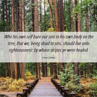 Picture 06 - 1 Peter 2:24 KJV - Who his own self bare our sins in his own body on - Bible Verse Picture