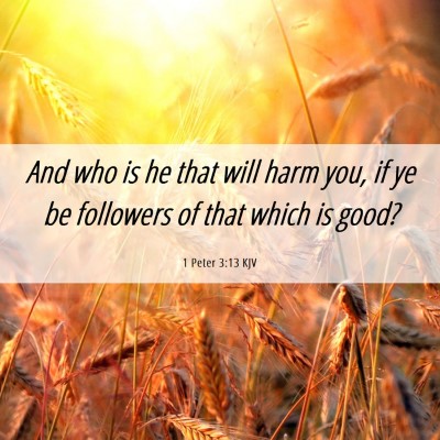 Picture 06 - 1 Peter 3:13 KJV - And who is he that will harm you, if ye be - Bible Verse Picture
