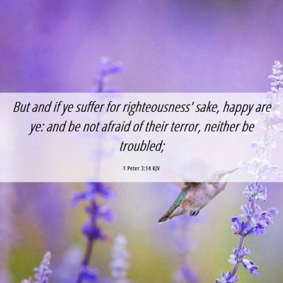 Picture 06 - 1 Peter 3:14 KJV - But and if ye suffer for righteousness' sake, - Bible Verse Picture