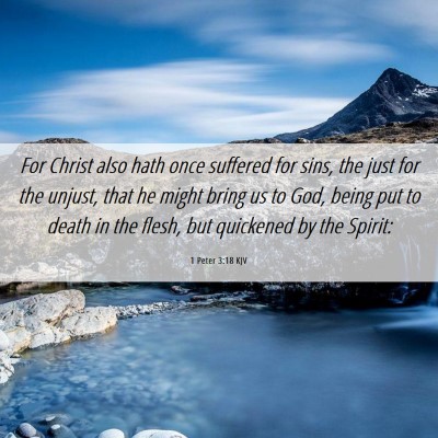 Picture 06 - 1 Peter 3:18 KJV - For Christ also hath once suffered for sins, the - Bible Verse Picture