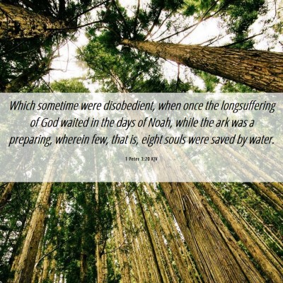 Picture 06 - 1 Peter 3:20 KJV - Which sometime were disobedient, when once the - Bible Verse Picture